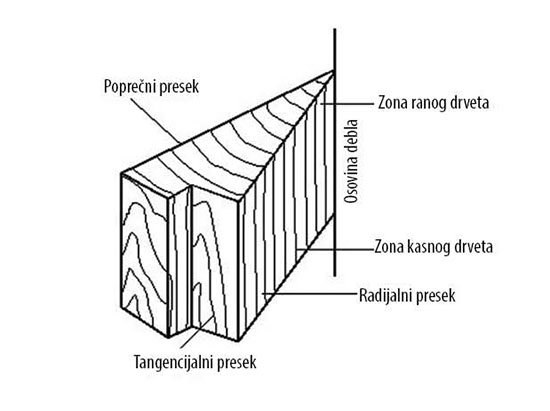 Osnovni preseci u drvetu, (Izvor: Zubčević, 1988)