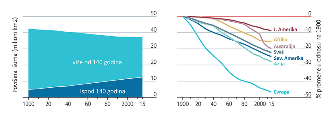 Slika 1. Površina šuma u odnosu na starost, u periodu 1900-2015 (levo) Promena starosti šuma po kontinentima, u periodu 1900-2015 (desno) Izvor: McDowell et al. (2020)* i The Economist