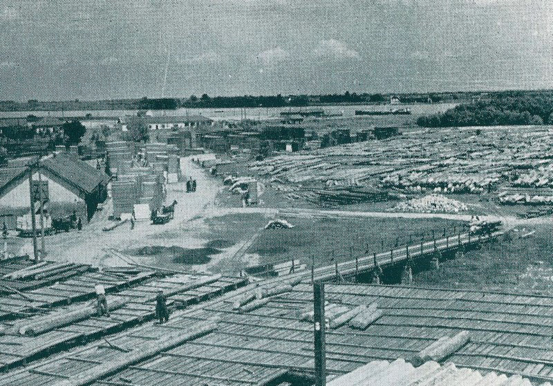 Izgled strugare