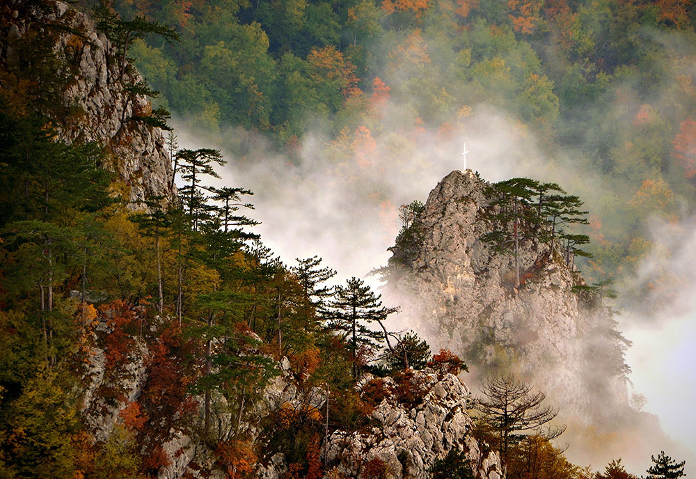 Kaluđerske bare – Crnjeskovo, Foto Vladimir Mijailović