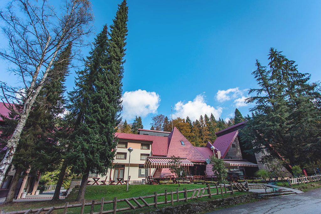 U okviru kompleksa Piramida na Goču nalaze se četiri smeštajna objekta sa ukupno 125 ležajeva, kafe barom, kantinom, restoranom, salom za sastanke, konferencijskom salom i dve učionice. Takođe, tu su tereni za košarku i rukomet, teretana na otvorenom, ali i ribnjak sa šest bazena za uzgoj pastrmke. Posetiocima su na raspolaganju i pet pešačkih staza u dužini od 4 do 18 kilometara, dok biciklistička staza koja povezuje Kraljevo i Vrnjačku Banju prolazi neposredno pored objekta