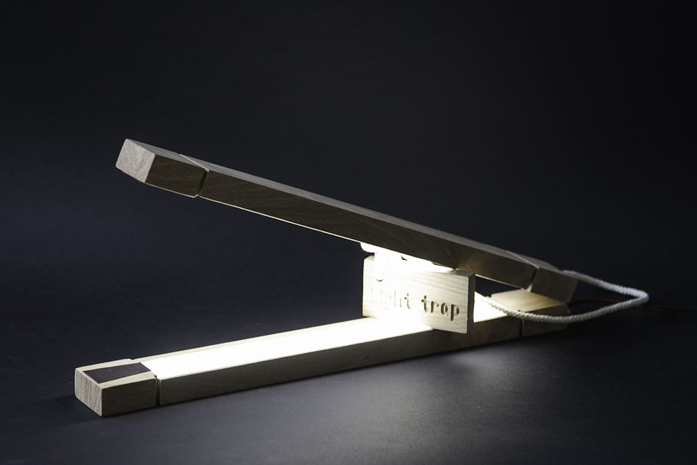 Light Trap, autorka Milica Marković
